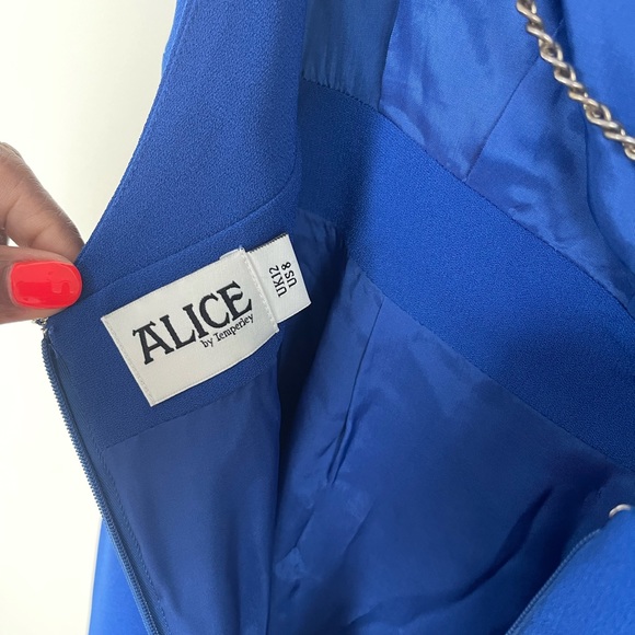 ALICE by Temperley Mail Dress Chain Detail - Picture 8 of 8